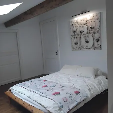 Immeuble Historique Au Pied Du Chateau De