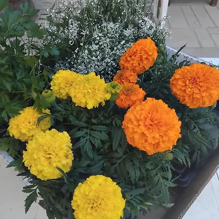 Immeuble Historique Au Pied Du Chateau De Villa