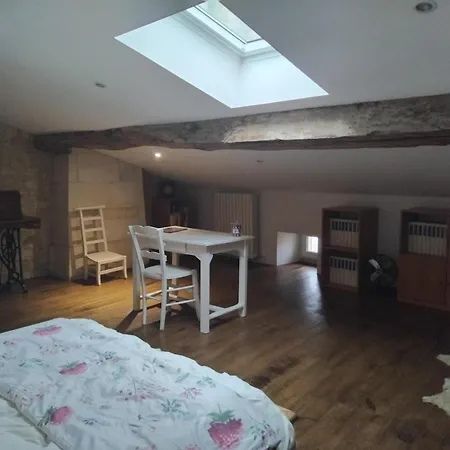 Villa Immeuble Historique Au Pied Du Chateau De Jonzac