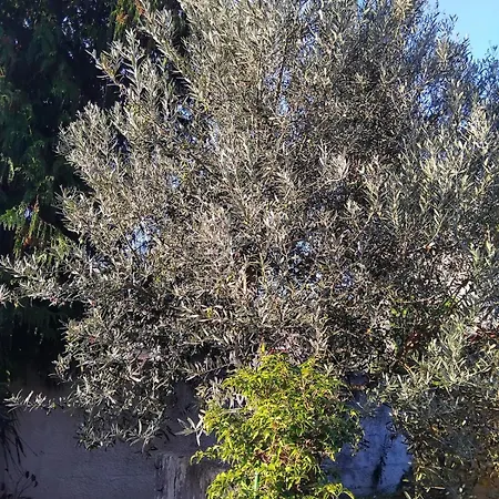 Immeuble Historique Au Pied Du Chateau De Jonzac