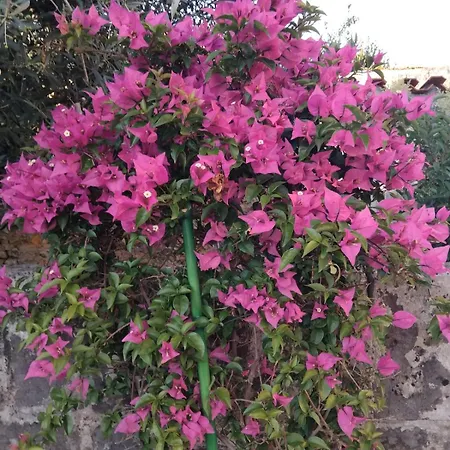 Immeuble Historique Au Pied Du Chateau De Jonzac